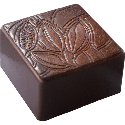 Fontaine Chocolate 12個 Candied Japanese Hyuganatsu – Dandelion Chocolate