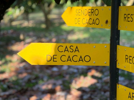 House of Chocolate at Finca la Amistad