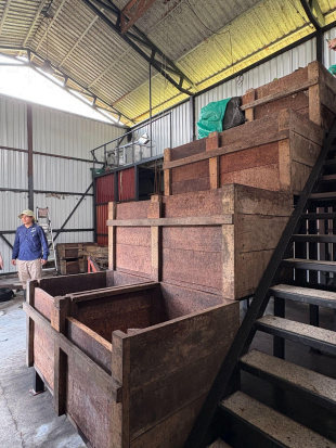 Cacao fermentation bins