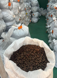 Bagged cacao beans