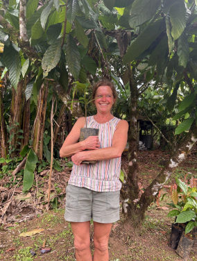 Newly planted cacao tree with name tag
